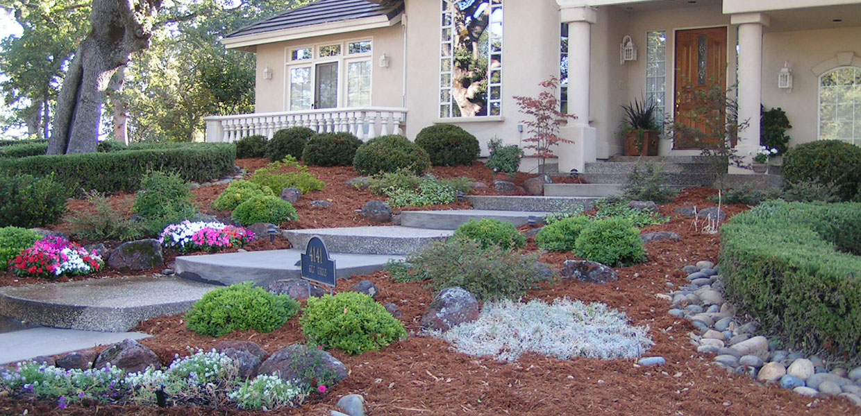 Sierra Rock and Nursery